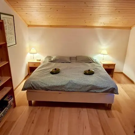 Apartment Sarine E5 Chateau-d'Oex